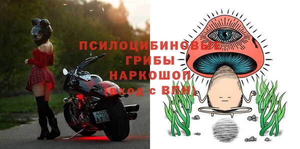 мяу мяу мука Куйбышев